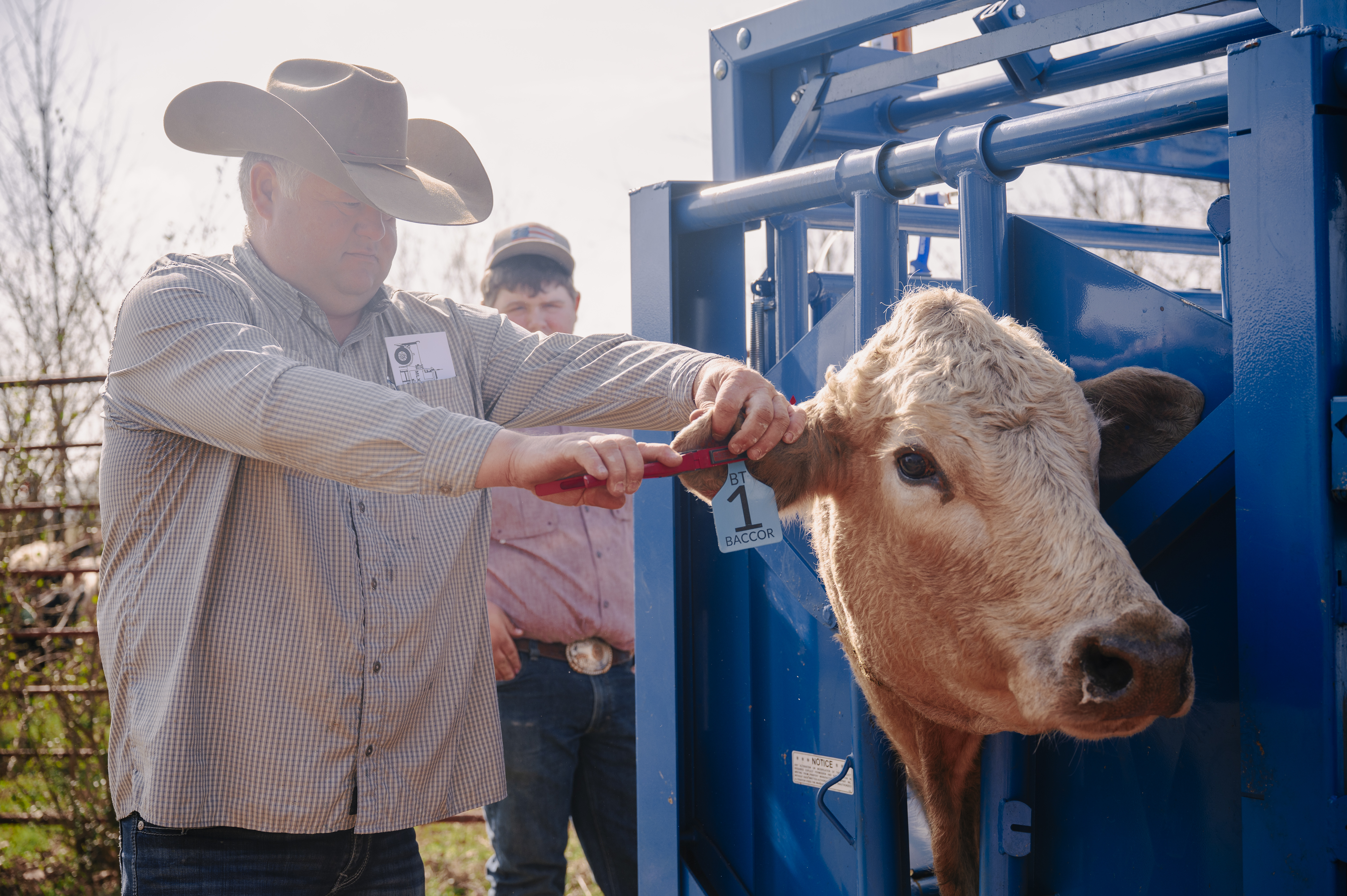 SqueezeChute SC25 0326 Sheriff 0988.jpg